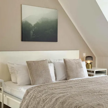 Mira Premium Residences - * Hinterzarten