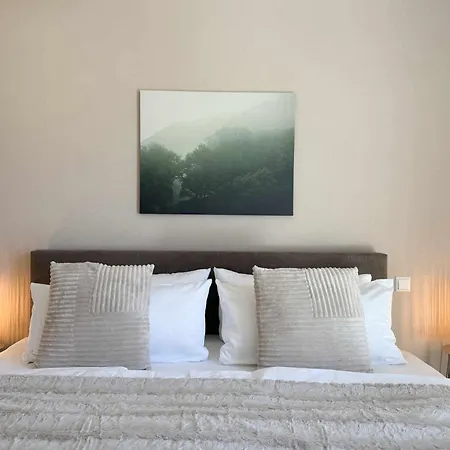 Mira Premium Residences - * Hinterzarten
